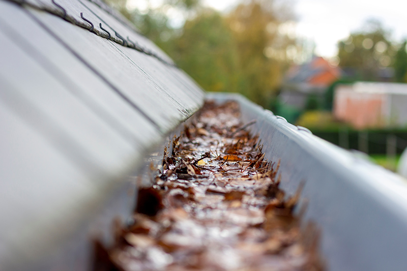 Cottage gutter and eavestrough cleaning services throughout the Bruce Peninsula