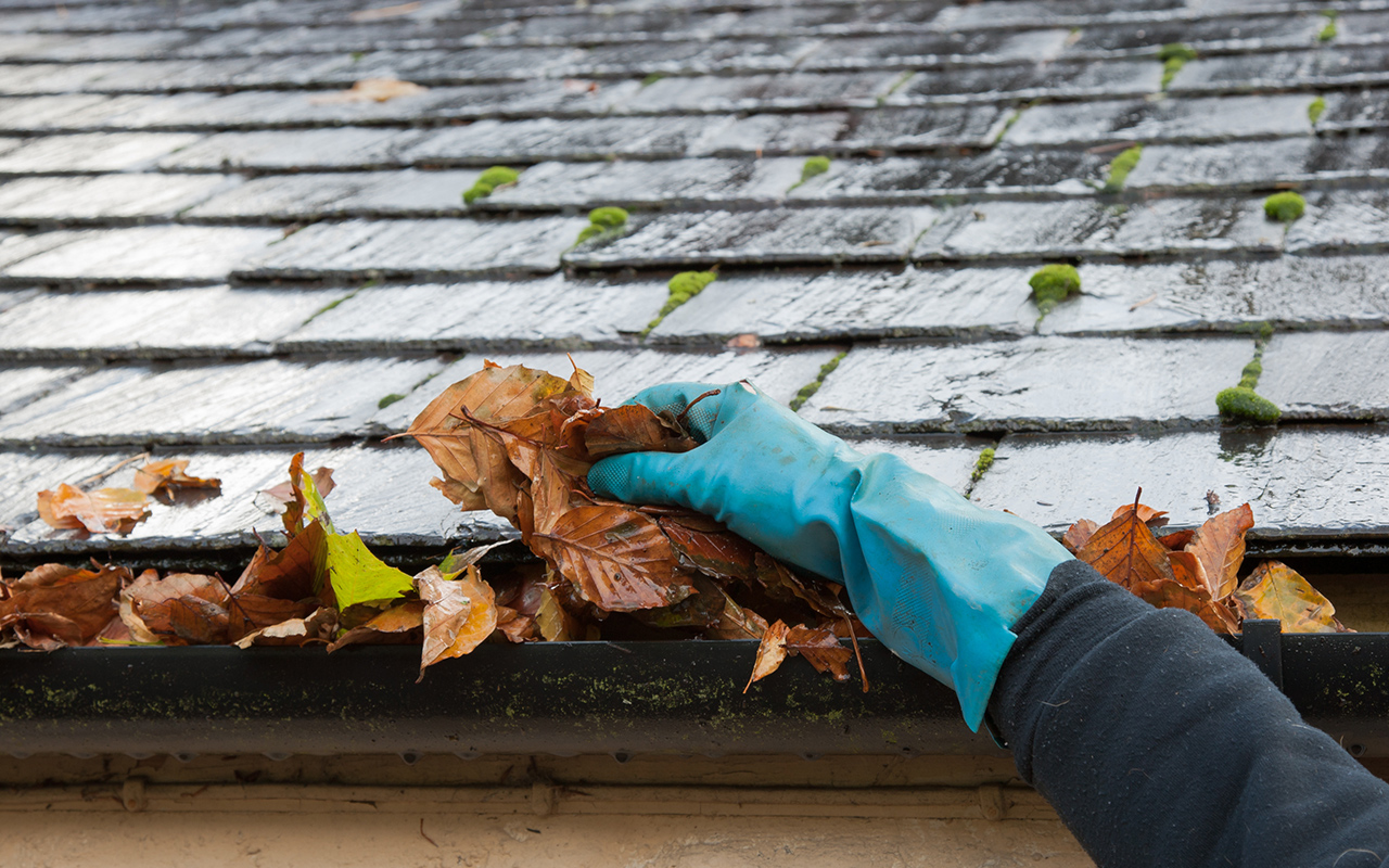 Cottage gutter and eavestrough cleaning services throughout the Bruce Peninsula