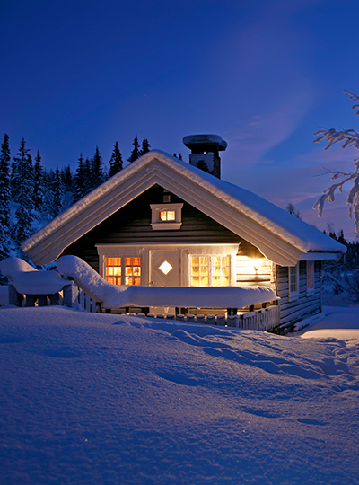 We provide cottage security and checkup services for cottage owners