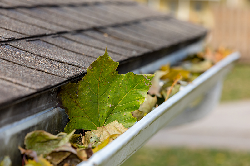 Cottage gutter cleaning services throughout the Bruce Peninsula